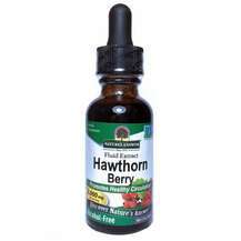 Nature's Answer, Hawthorne Alcohol-Free 2000 mg, 30 ml