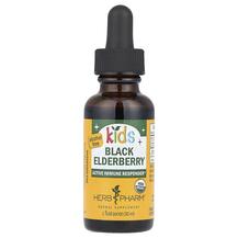Kids Black Elderberry Alcohol Free Сироп из Бузины