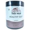 Terra Origin, Healthy Gut Berry, Підтримка кишечника, 243 г