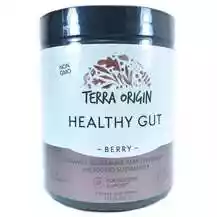 Terra Origin, Healthy Gut Berry, Підтримка кишечника, 243 г
