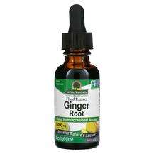 Nature's Answer, Ginger Alcohol-Free 1000 mg, 30 ml