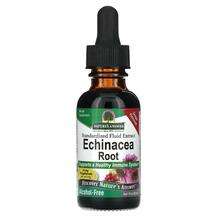 Nature's Answer, Эхинацея, Echinacea Root Alcohol-Free Gr...