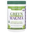 Green Foods, Ячмень, Green Magma Barley Grass Juice Powder, 300 г