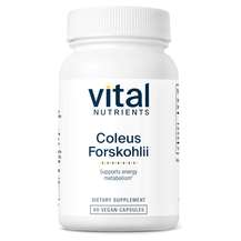 Vital Nutrients, Форсколин, Coleus Forskolii 10% 90 mg, 60 капсул