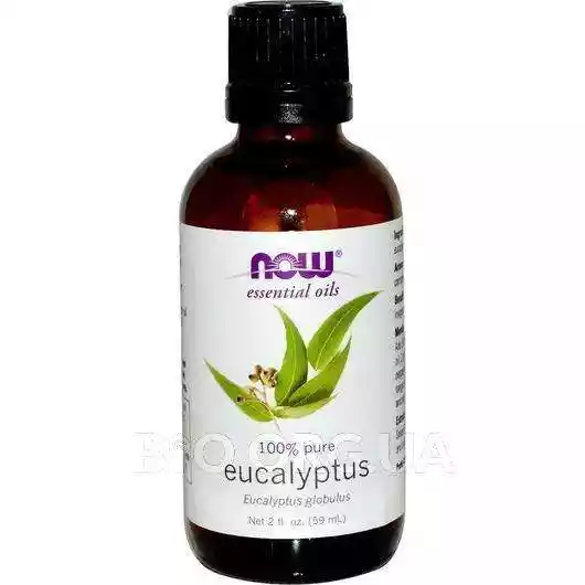 Фото товара Pure Essential Oil Eucalyptus 59 ml