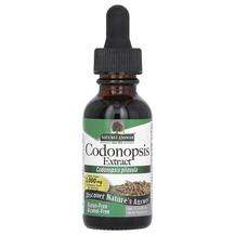 Nature's Answer, Codonopsis Extract Alcohol-Free 2000 mg, 30 ml
