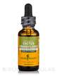 Фото товару Herb Pharm, Cactus Grandiflorus, Кактус грандіфлорус, 29.6 мл