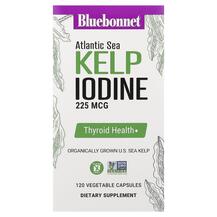 Ламінария Atlantic Sea Kelp Iodine Bluebonnet Nutrition