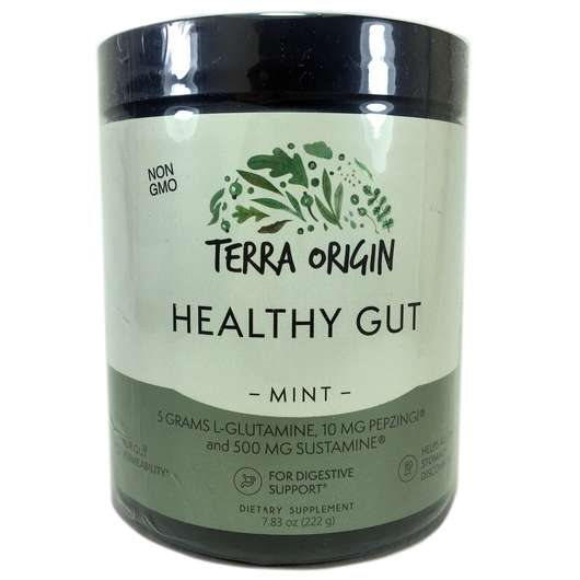 Основне фото товара Terra Origin, Healthy Gut Mint, Підтримка кишечника, 222 г