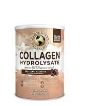 Great Lakes Wellness, Collagen Hydrolysate Chocolate Flavored,...