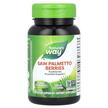Saw Palmetto Berries 585 mg, Со Пальметто, 100 капсул
