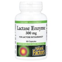Lactase Enzyme 9000 FCC ALU Фермент Лактаза Natural