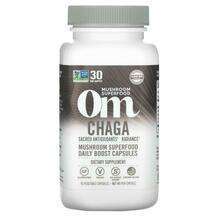 Organic Mushroom Nutrition, Chaga 667 mg, 90 Vegetarian Capsules