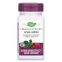 Nature's Way, Uva Ursi 300 mg, Ува урсі, 60 капсул