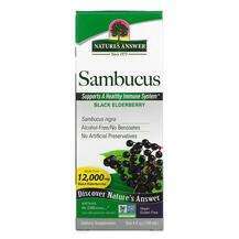 Nature's Answer, Sambucus Black Elder Berry Extract 5000 mg, Ч...
