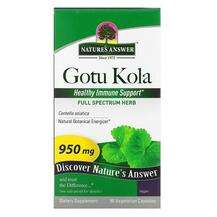 Nature's Answer, Готу Кола 950 мг, Gotu Kola 950 mg, 90 капсул