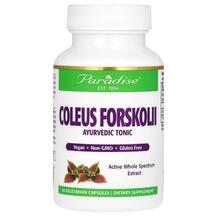 Колеус форсколія Coleus Forskolii Paradise Herbs
