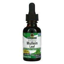 Nature's Answer, Mullein Alcohol-Free 2000 mg, 30 ml
