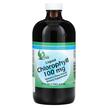 Фото товару Liquid Chlorophyll 100 mg Фото товару World Organic, Liquid Chlorophyll 100 mg, Хлорофіл, 474 мл