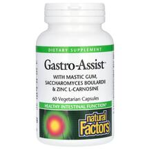 Мастикова смола Gastro-Assist Natural Factors 60 капсул