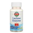 KAL, Lactase Enzyme 250 mg, 60 Softgels