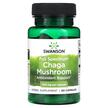 Фото применение Грибы Чага, Full Spectrum Chaga Mushroom 400 mg, 60 капсул