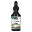 Фото применение Nature's Answer, Прополис, Propolis 2000 mg, 30 мл