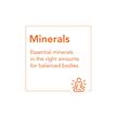 Фото применение NOW, Коллоидные минералы, Colloidal Minerals, 946 мл
