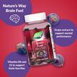Фото применение Nature's Way, Поддержка мозга, Brain Fuel Grape, 60 таблеток