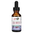 Фото використання Organic Sea Moss Liquid Extract Alcohol Free 1140 mg Фото використання Organic Sea Moss Liquid Extract Alcohol, Ірландський морський мох