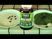Pines International, Wheat Grass, Вітграс 500 мг, 250 таблеток