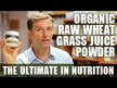 Видео обзор на Ростки пшеницы Витграсс, Wheatgrass Juice Powder Lemon, 164 г