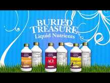 Buried Treasure, Added Attention Support Children's Learning, ...