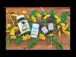 Видео обзор на Eclectic Herb, Кверцетин 350 мг, Quercetin 350 mg, 90 капсул