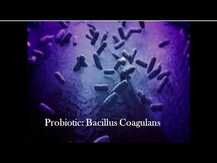 Bacillus Coagulans 5 Billion, Пробиотики 5 мільярдів, 60 капсул