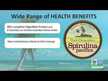 Відео огляд на Pure Hawaiian Spirulina, Гавайська спіруліна 500 мг, 100 таблеток
