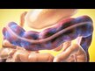 Відео огляд на Ultra-Lax Herbal Formula, Проносний засіб, 90 таблеток