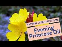 Source Naturals, Evening Primrose Oil, Олія примули вечірньої,...