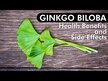 Видео обзор на Гинкго Билоба, Super Ginkgo Biloba + Gotu Kola 100, 100 капсул