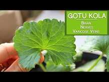 Nature's Way, Gotu Kola Herb 475 mg