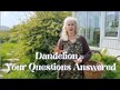 Видео обзор на Nature's Answer, Одуванчик 2000 мг, Dandelion 2000 mg, 30 мл