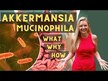 Видео обзор на Аккермансия, Akkermansia Muciniphila 300 Billion AFU, 60 капсул