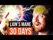 Відео огляд на NutraChamps, Lion's Mane, Гриби Левова Грива, 120 капсул