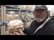 Видео обзор на Грибы Хвост Индейки, Turkey Tail, 120 капсул