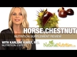 Відео огляд на Horse Chestnut Seed Extract, Кінський каштан, 60 капсул