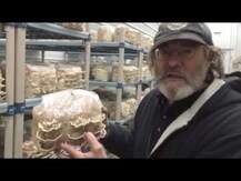 Host Defense Mushrooms, Turkey Tail, Гриби Хвіст Індички, 100 г
