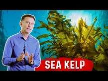 Dr. Berg, Sea Kelp Enhanced Iodine, Ламінария, 90 капсул