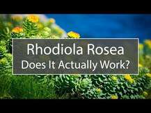 Solgar, Родиола, Rhodiola Root Extract, 60 капсул