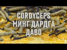 Nature's Way, Кордицепс 1000 мг, Cordyceps, 60 капсул