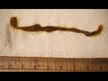 Видео обзор на NOW, Полынь, Green Black Walnut Wormwood Complex, 60 мл